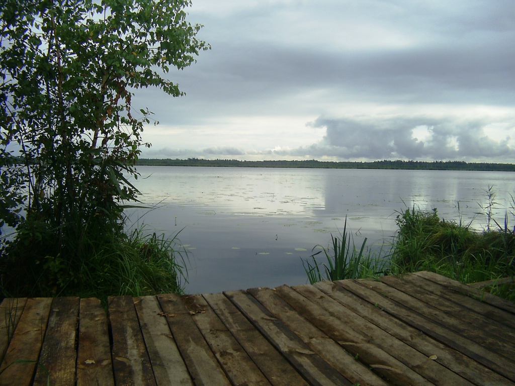 Вид на озеро Большое Засоминое